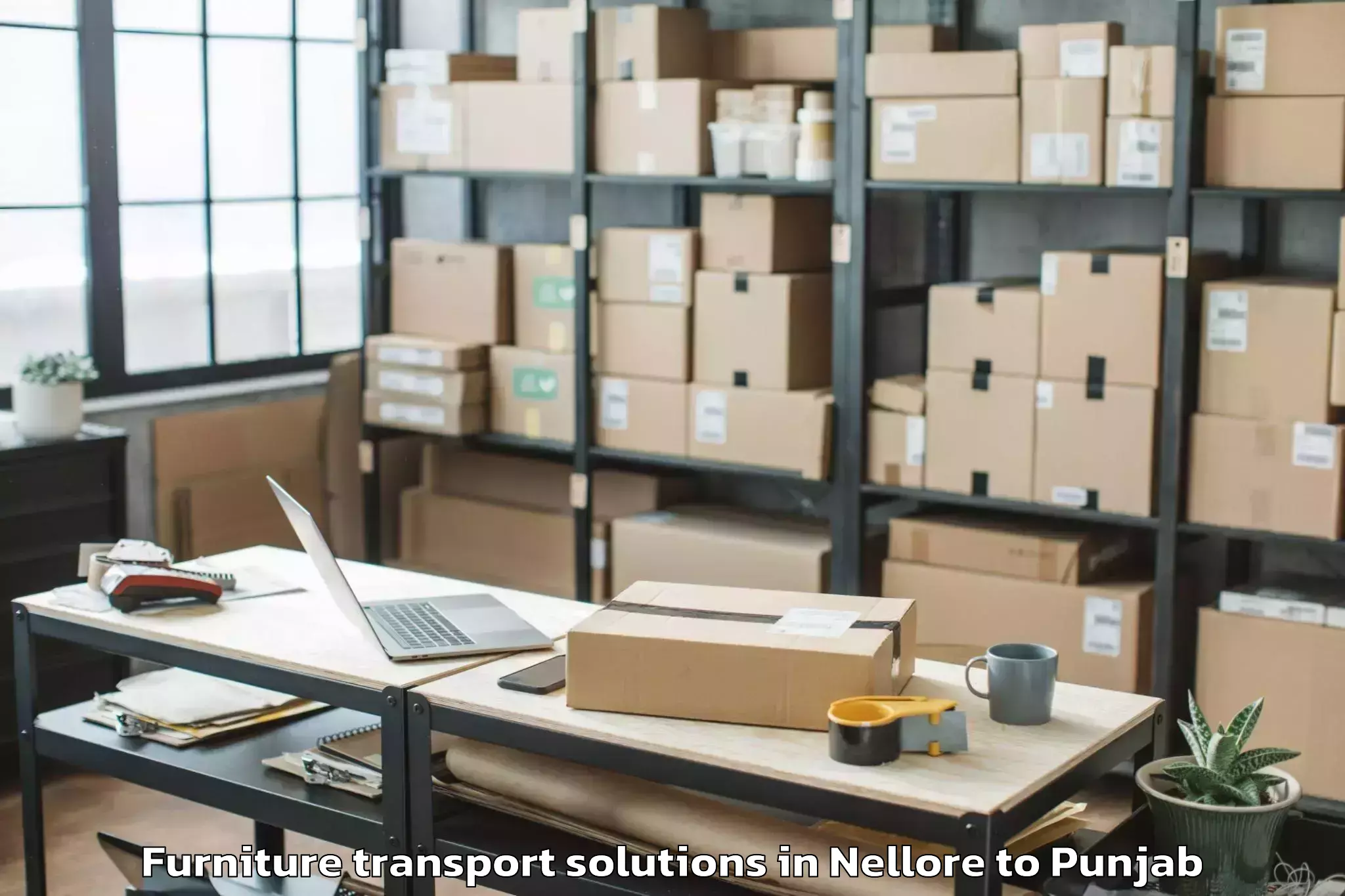 Professional Nellore to Rupnagar Furniture Transport Solutions